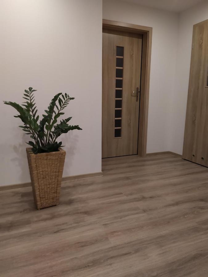 Apartament Kaola يلينيا غورا المظهر الخارجي الصورة